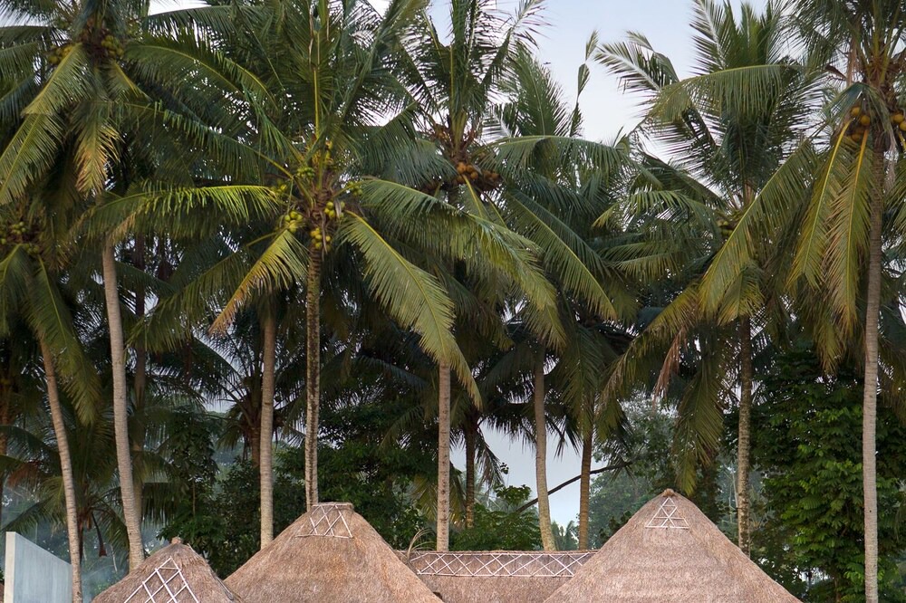 Photo of Others in Lodtunduh