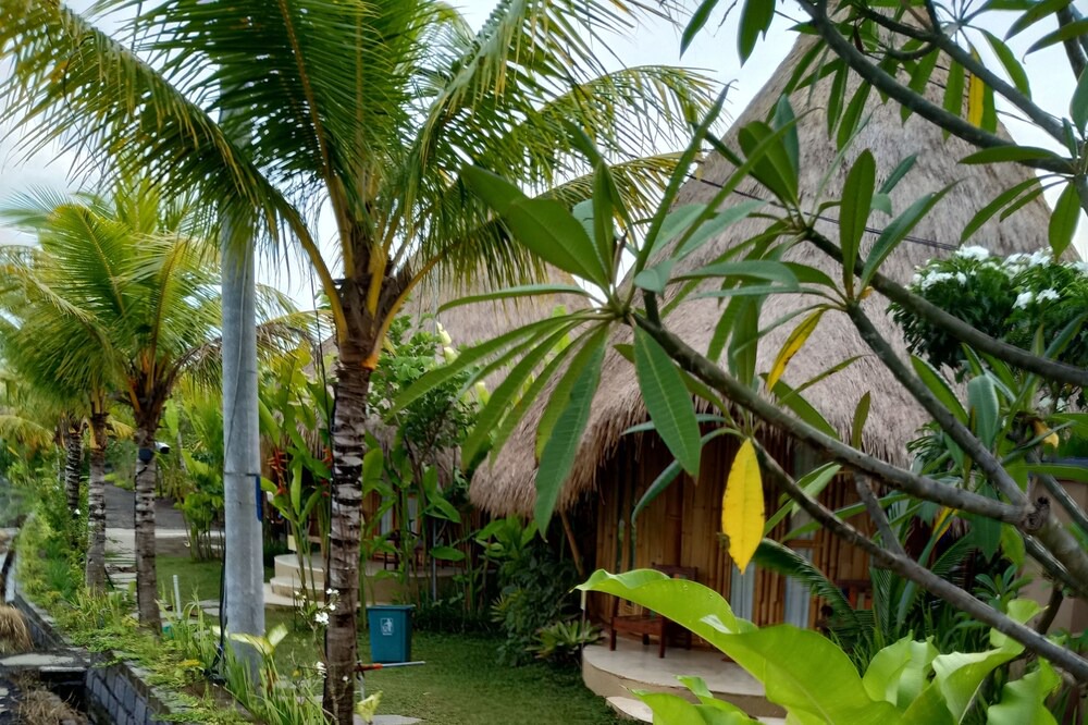 Photo of Outdoor in Mas