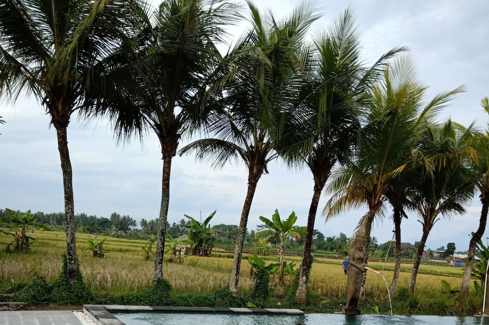 Photo of Patio Balcony in Mas