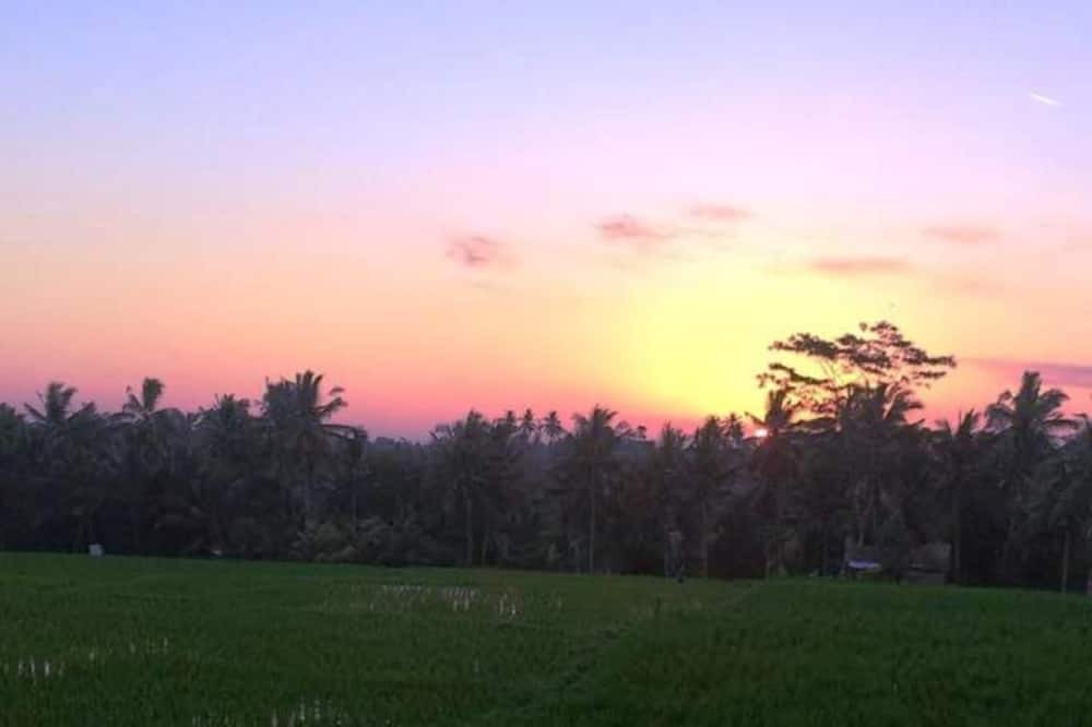 Photo of Outdoor in Kutuh Kaja