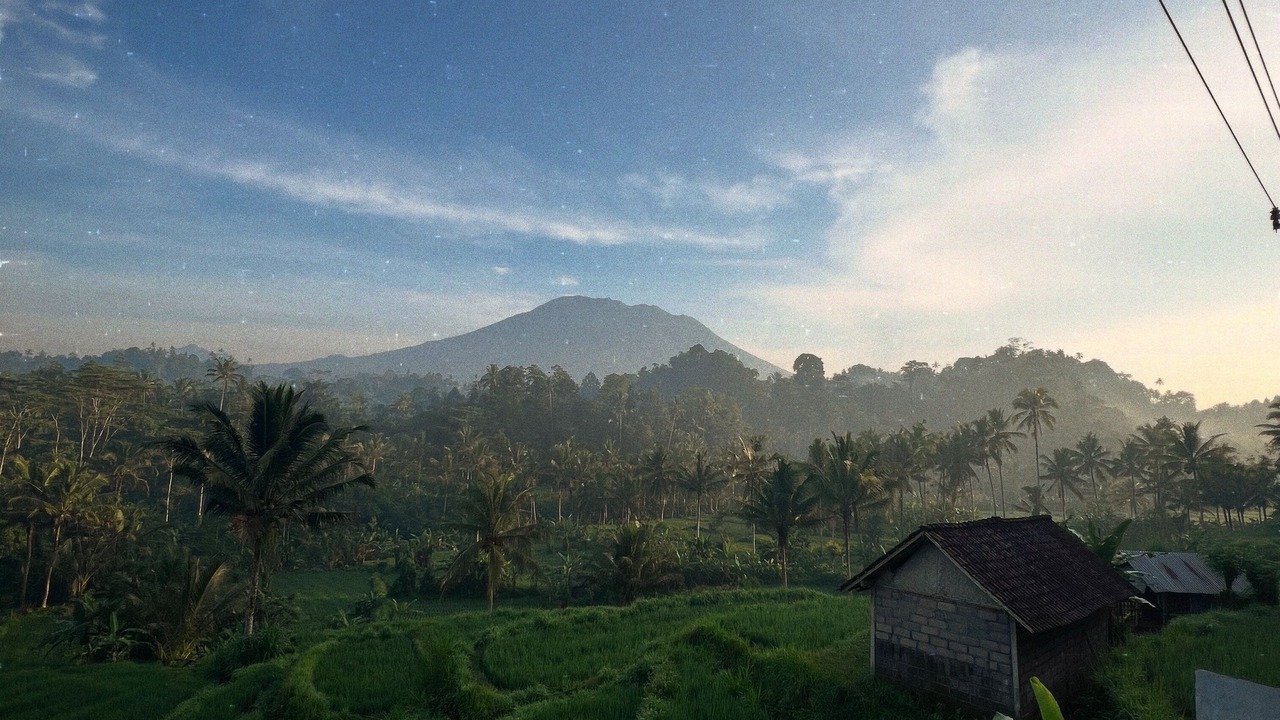Photo of Outdoor in Selat