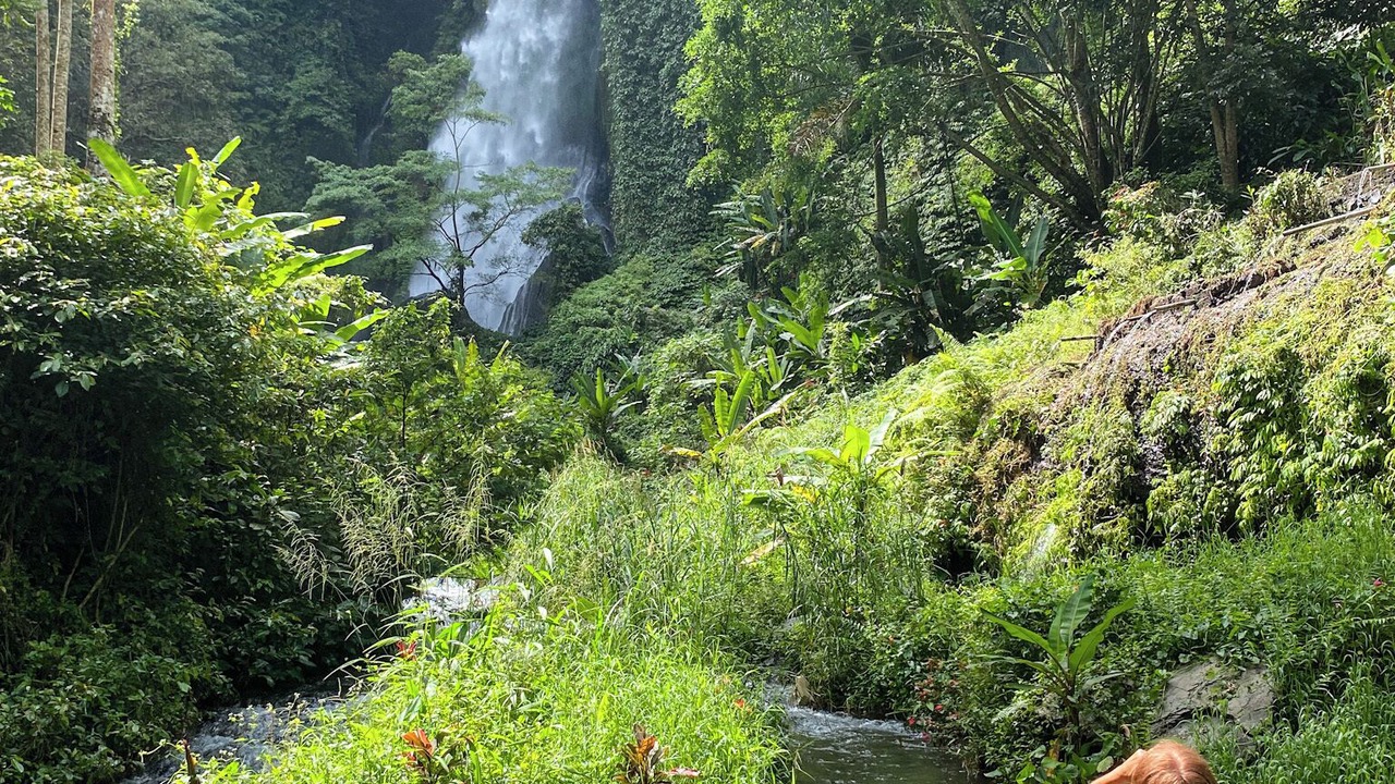 Photo of Outdoor in Munduk