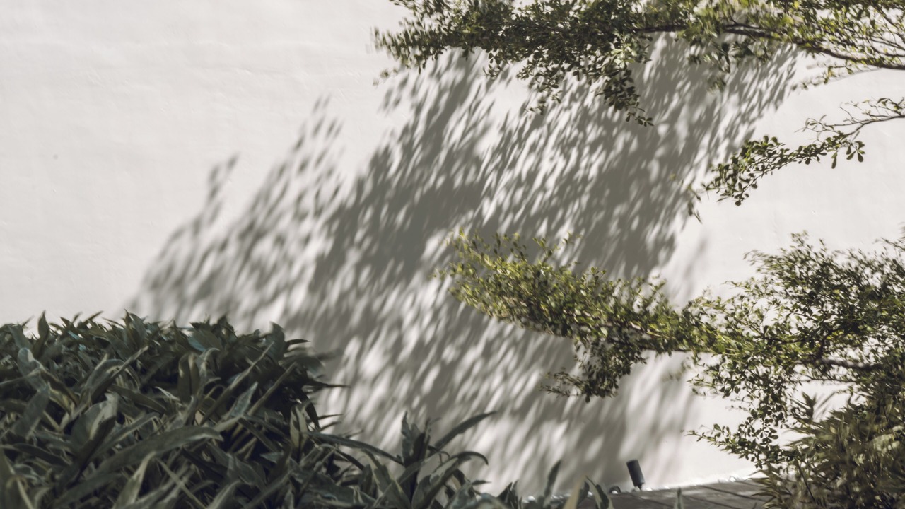 Photo of Outdoor in Uluwatu