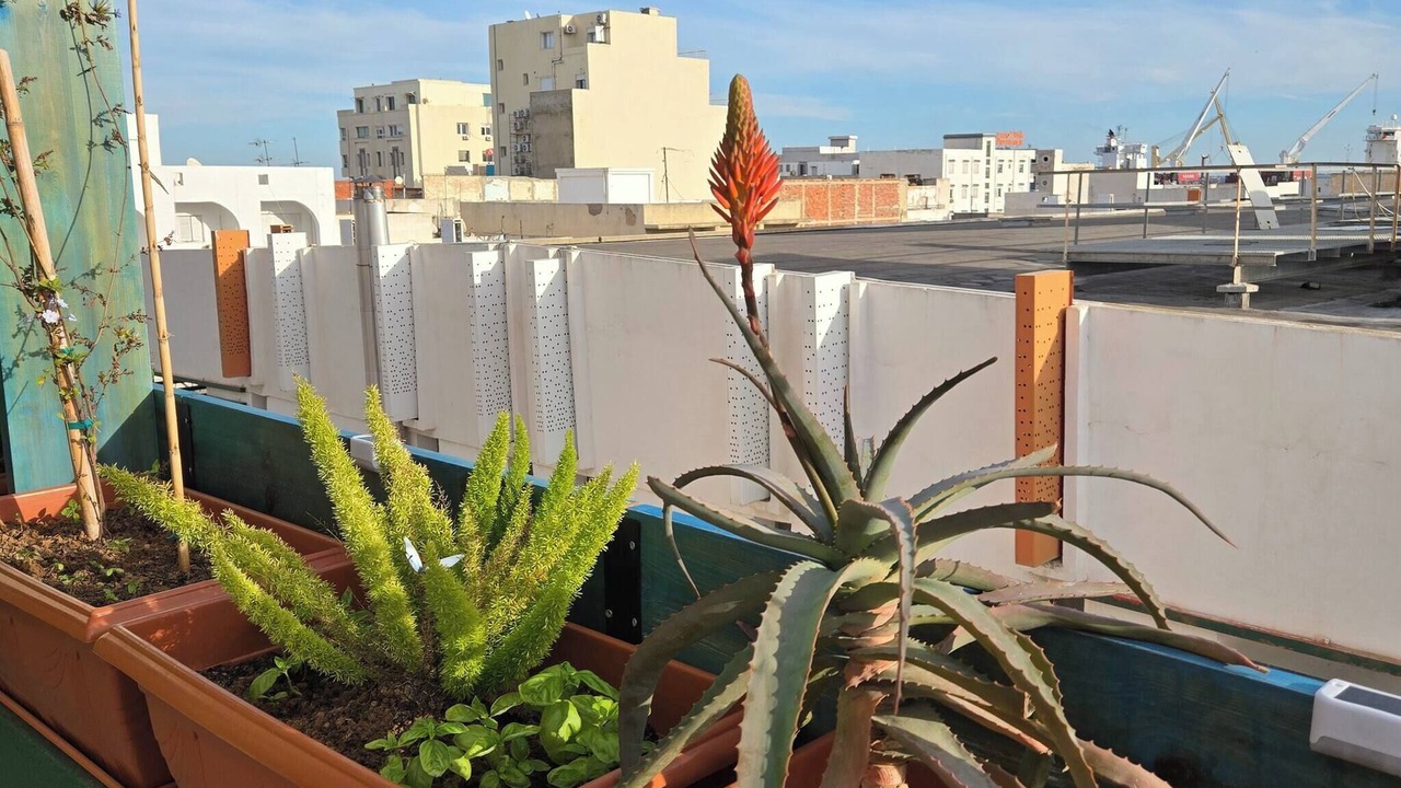 Photo of Patio Balcony in Sousse
