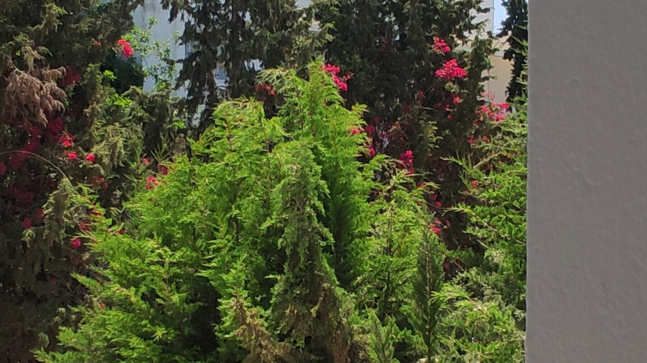 Photo of Patio Balcony in Yasmine