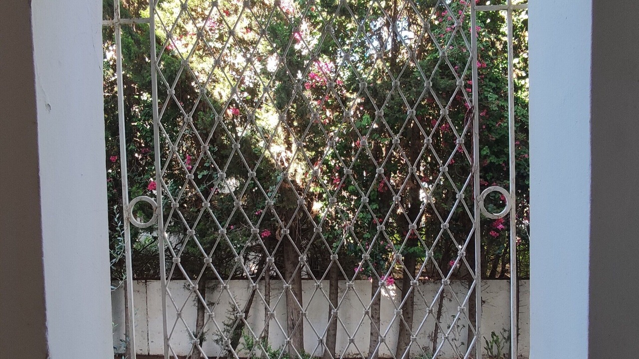 Photo of Patio Balcony in Yasmine