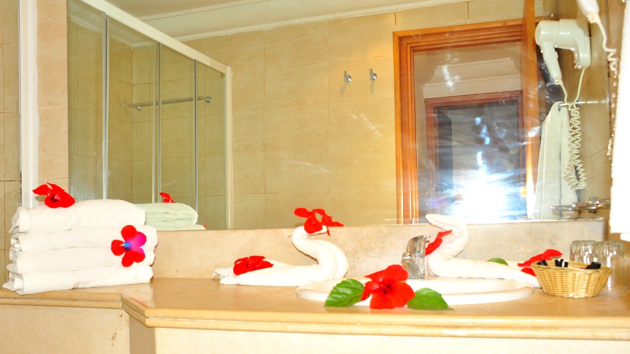 Photo of Bathroom in Dar Chaabane Al Fehri