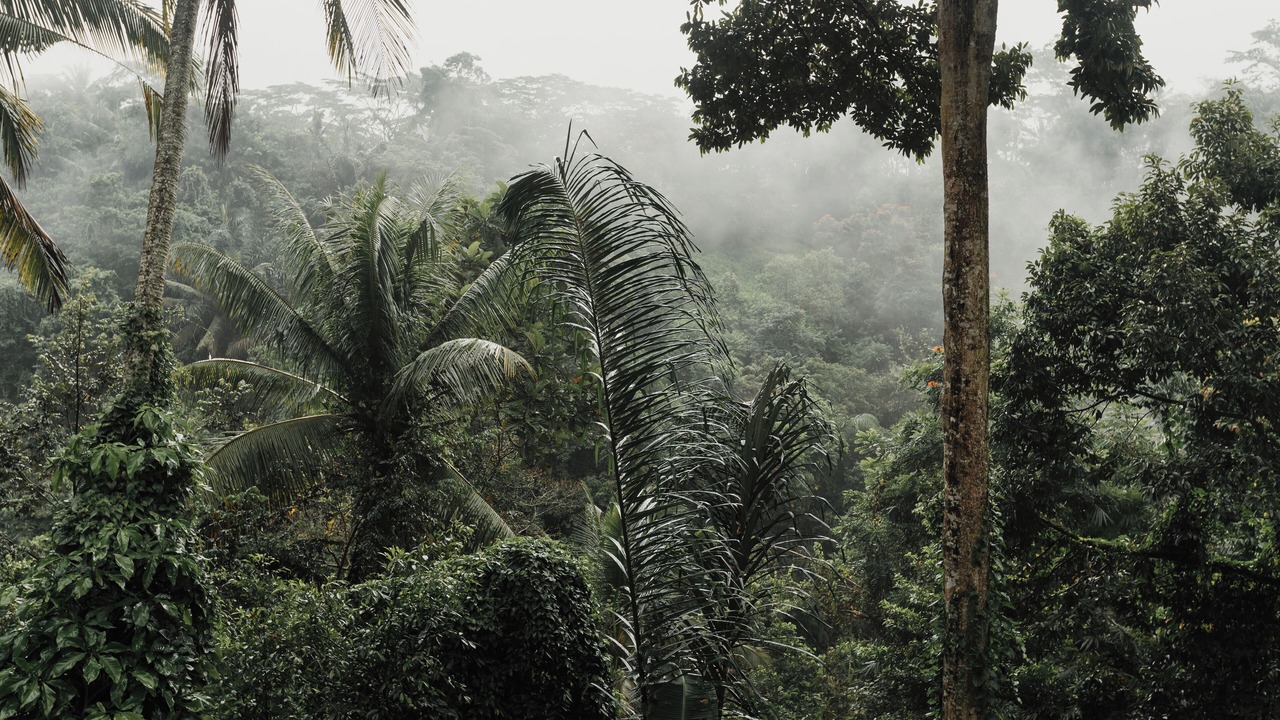 Photo of Others in Melayang