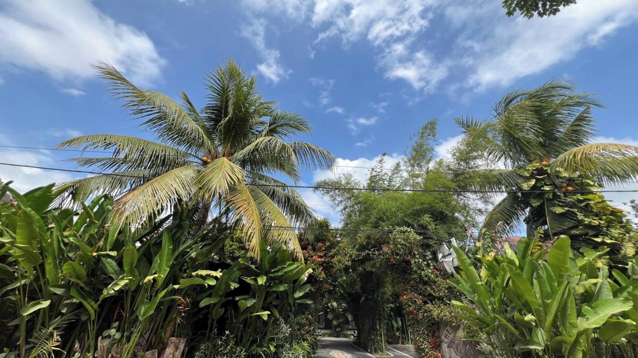 Photo of Outdoor in Mengwi