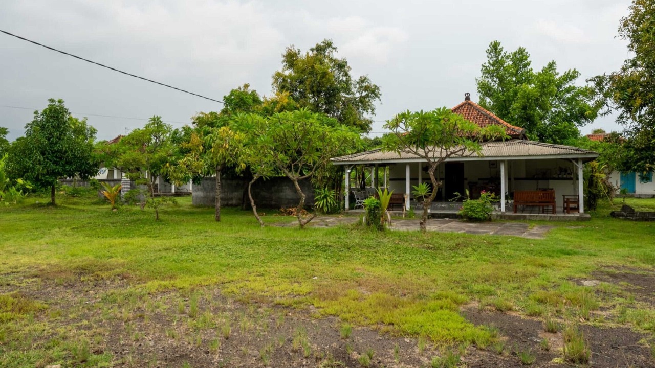 Photo of Outdoor in Lovina
