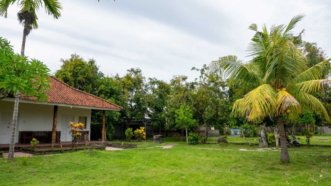 Photo of Outdoor in Lovina