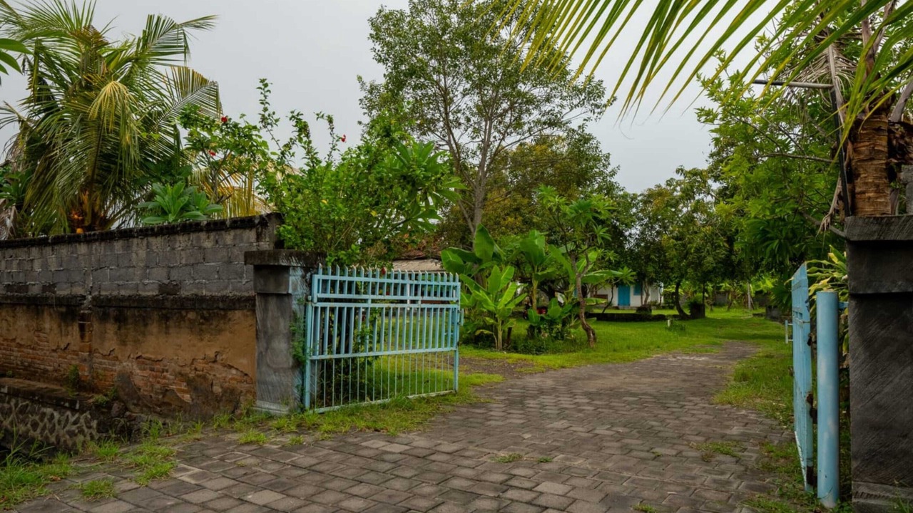 Photo of Outdoor in Lovina