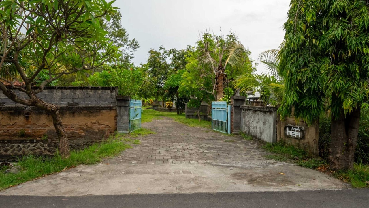 Photo of Outdoor in Lovina