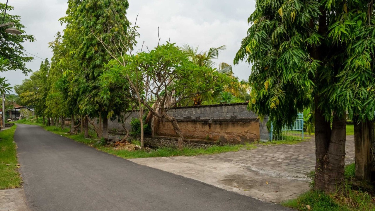 Photo of Outdoor in Lovina