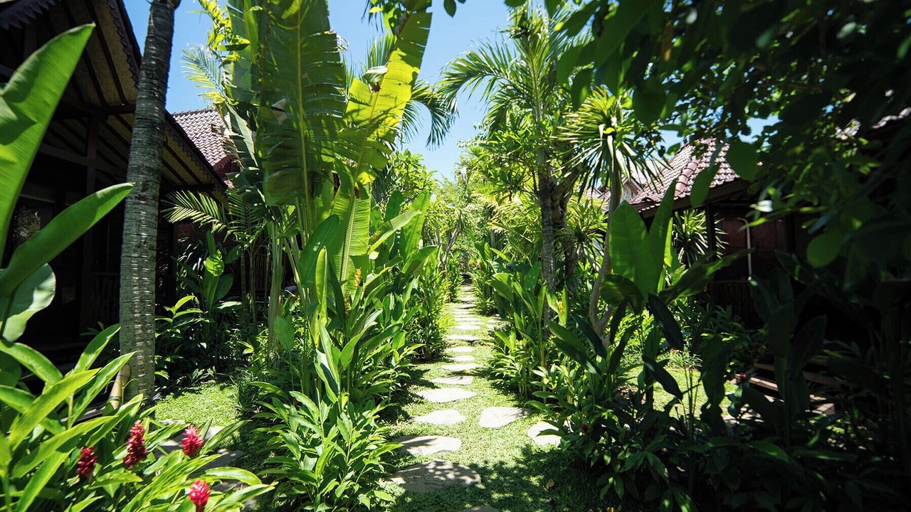 Photo of Outdoor in Pererenan