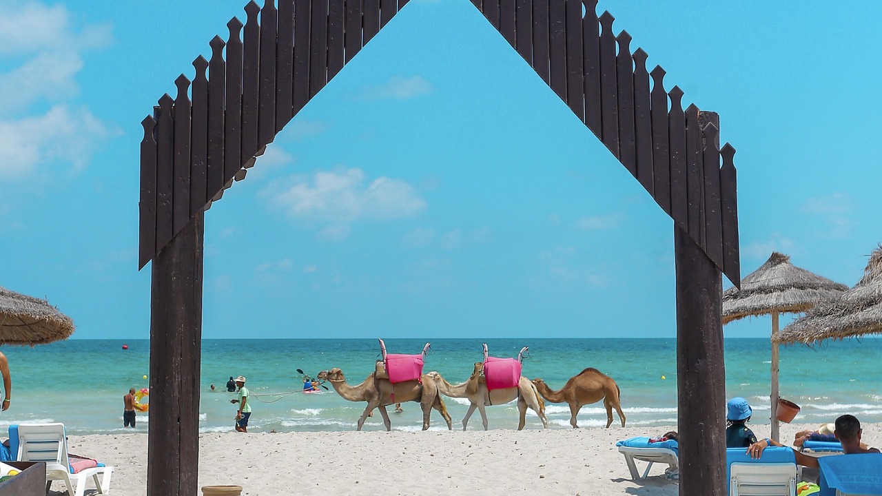 Photo of Others in Djerba Midun