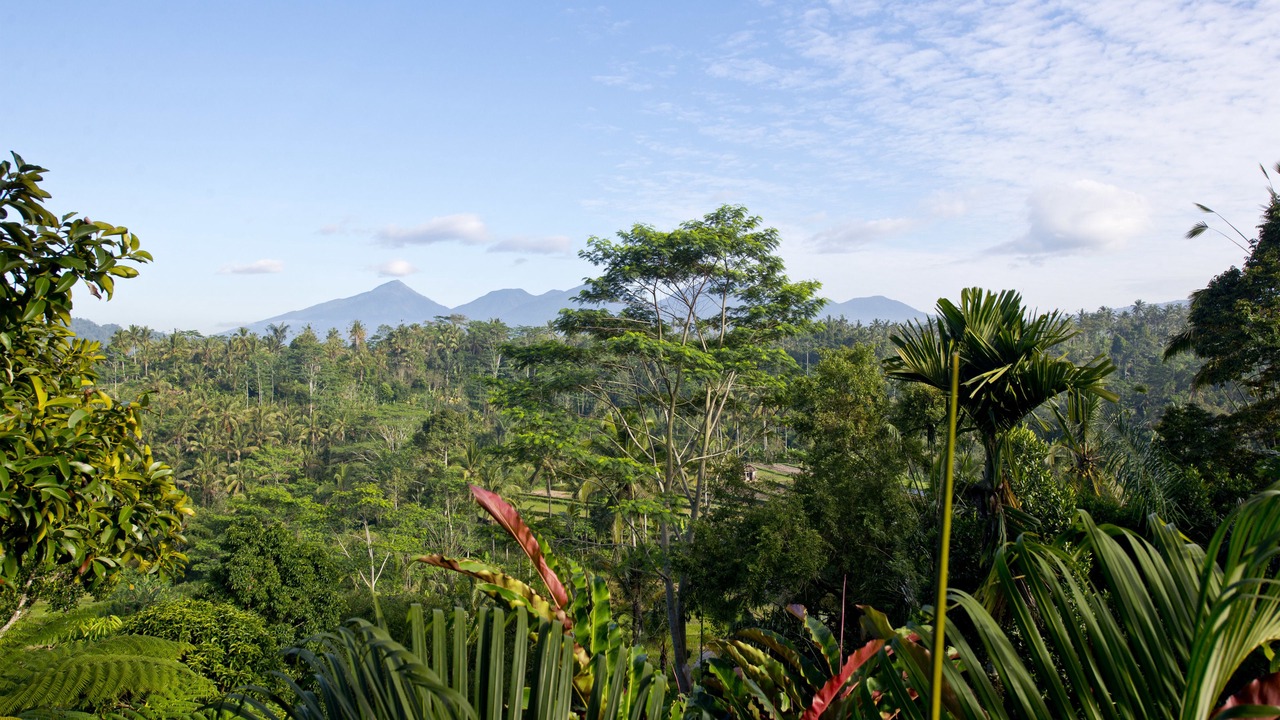 Photo of Outdoor in Nungnung