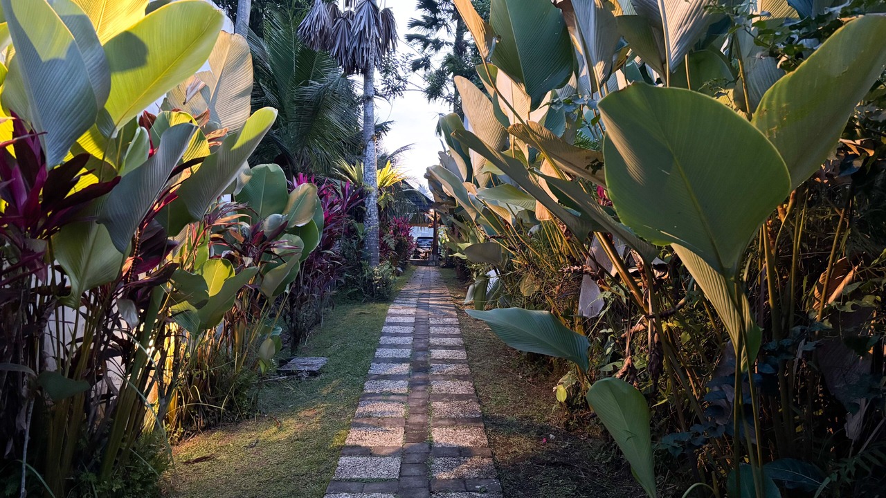 Photo of Outdoor in Bongkasa Pertiwi