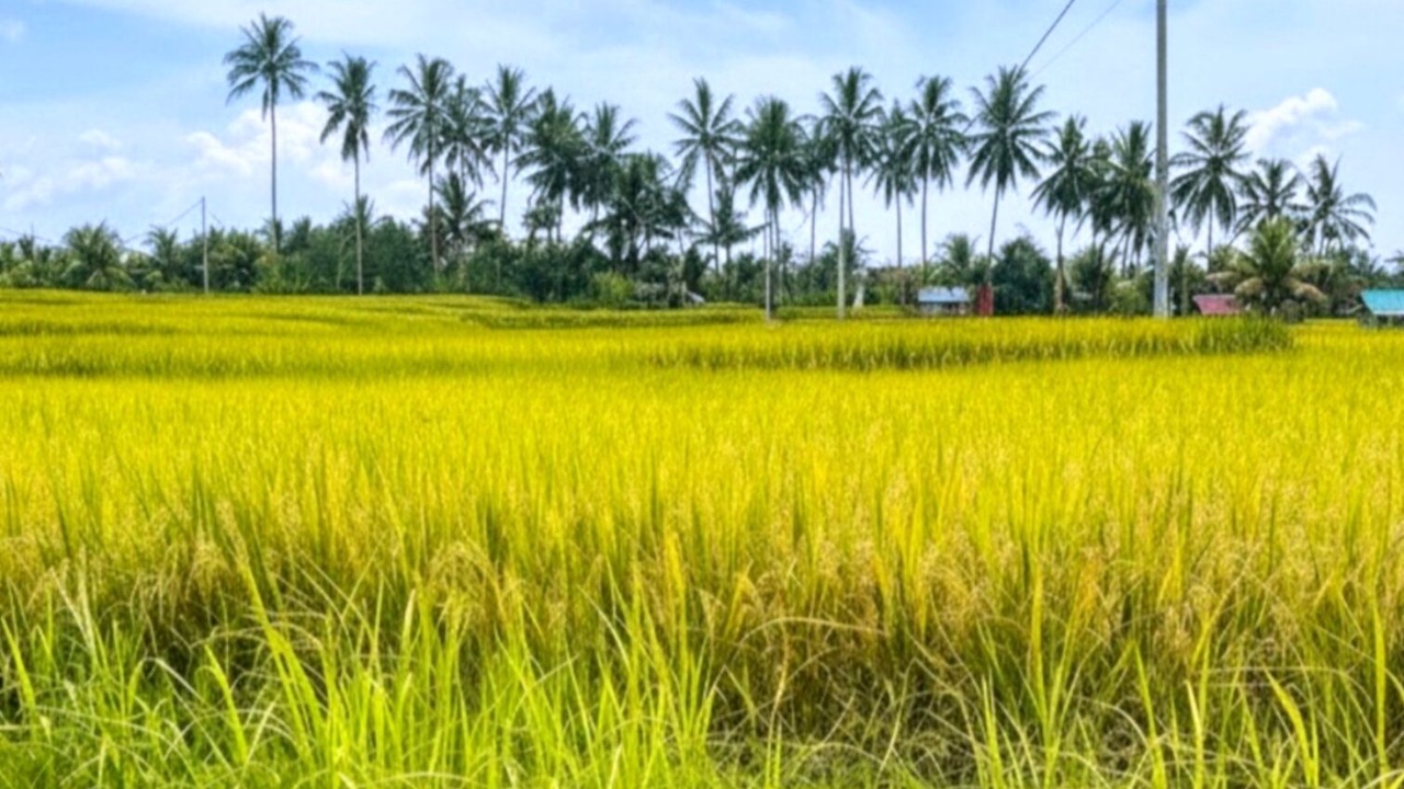 Photo of Outdoor in Sambahan