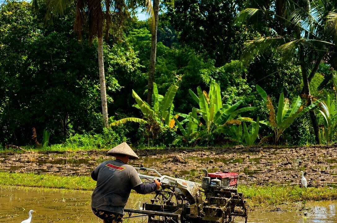 Photo of Outdoor in Sambahan
