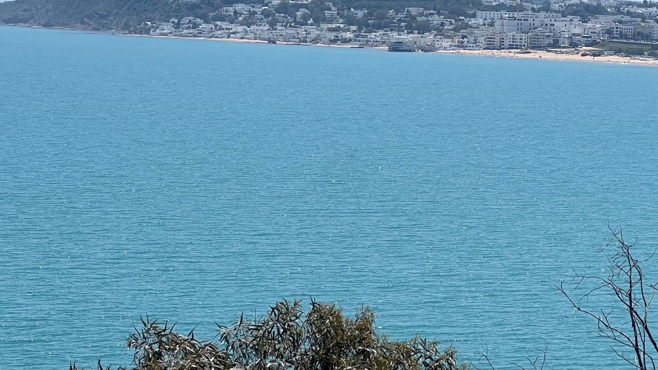 Photo of Others in La Marsa