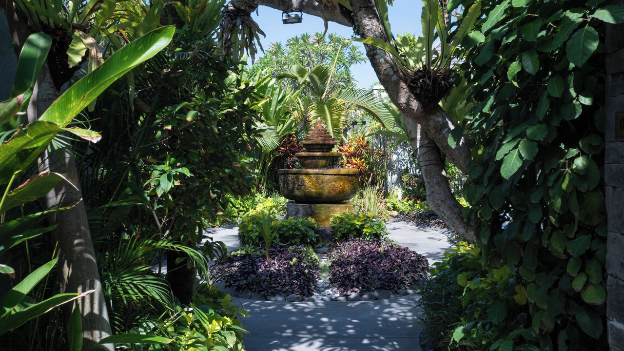 Photo of Outdoor in Petitenget