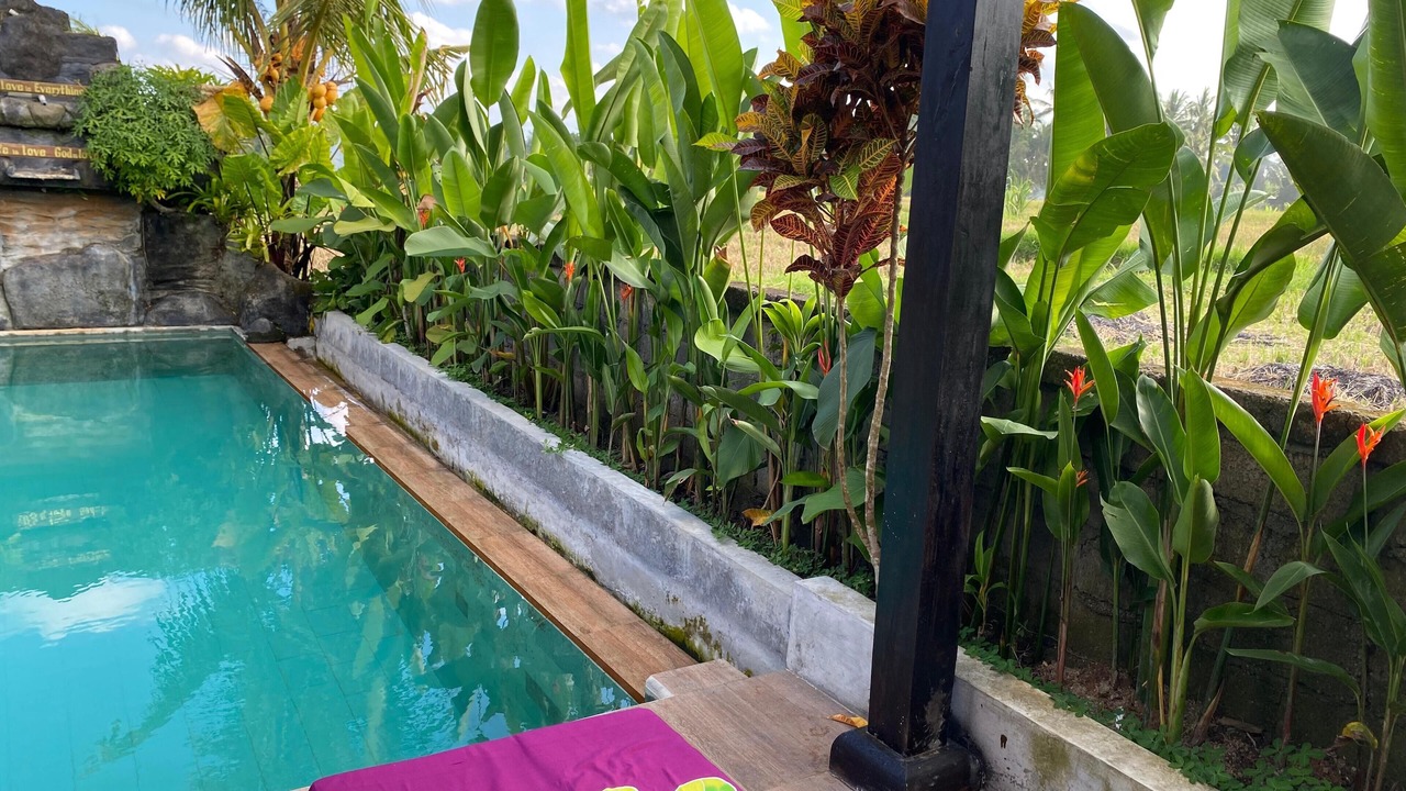 Photo of Outdoor in Petulu