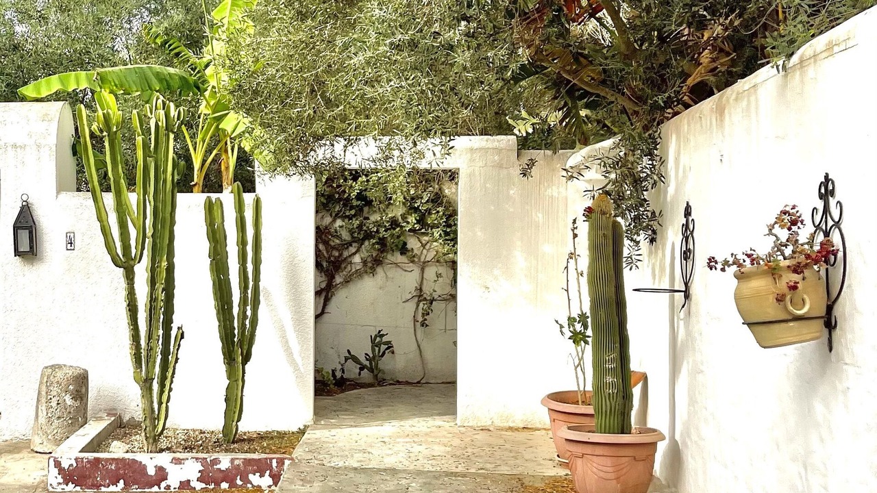 Photo of Outdoor in Hammamet Sud