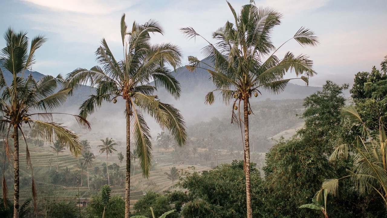 Photo of Outdoor in Seminyak
