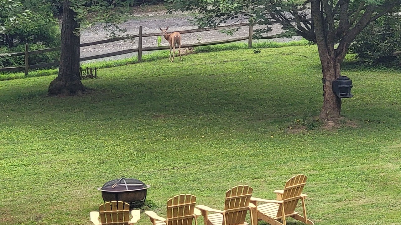 Photo of Others in Spruce Pine