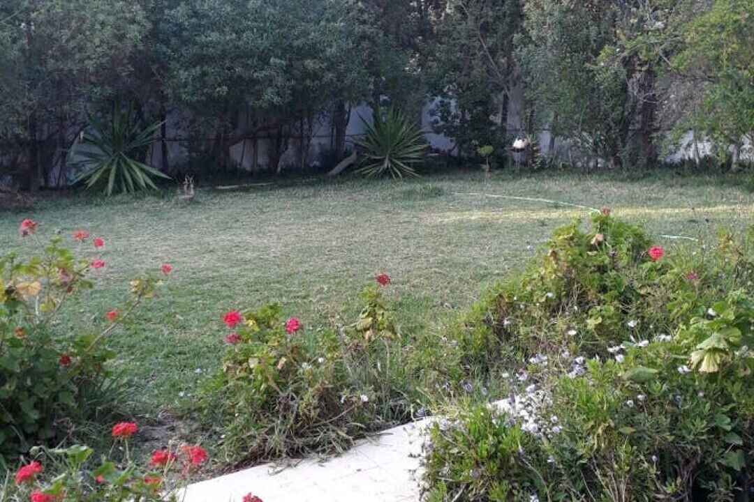 Photo of Outdoor in Nabeul