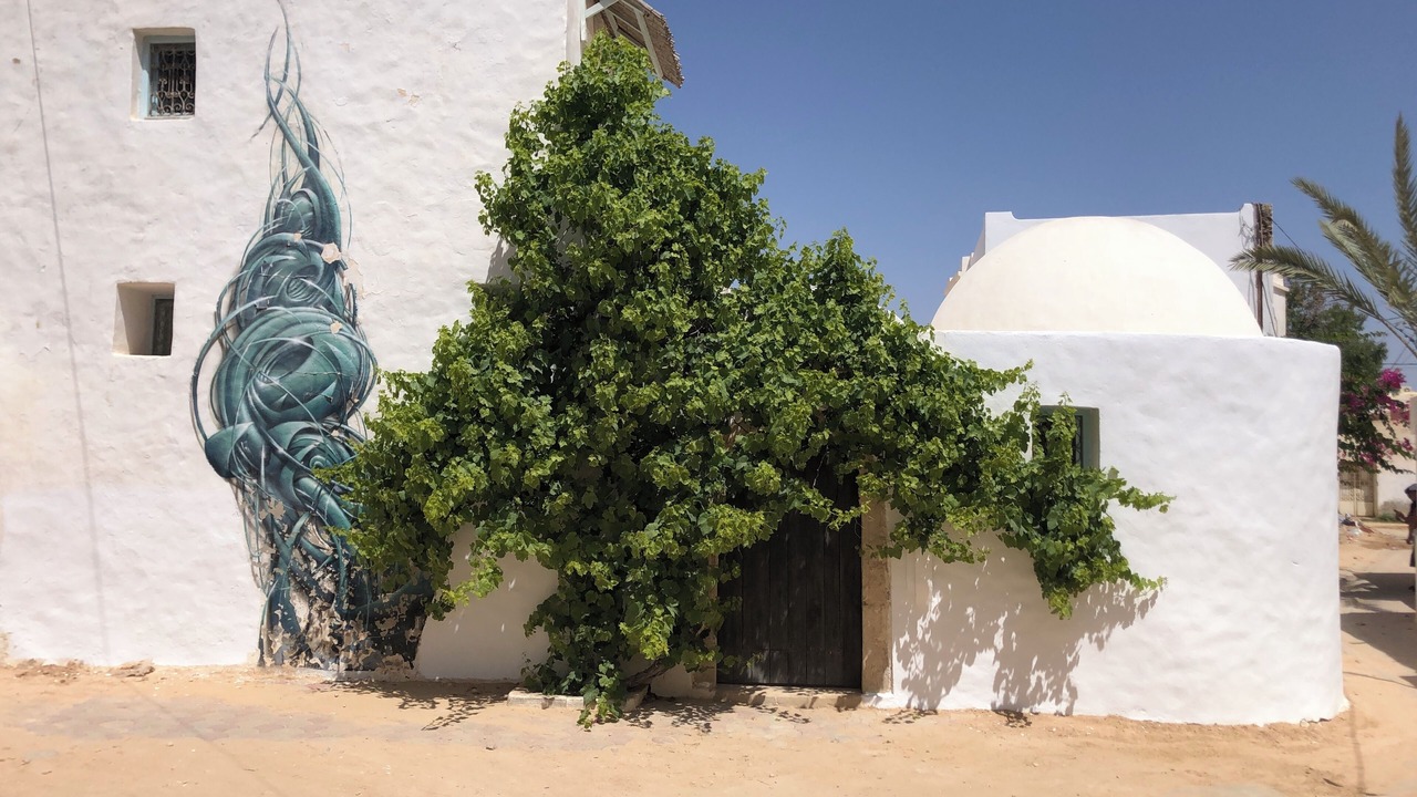 Photo of Outdoor in Erriadh