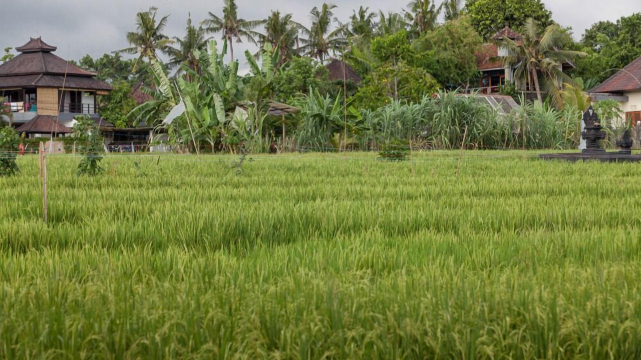 Photo of Others in Batubelig