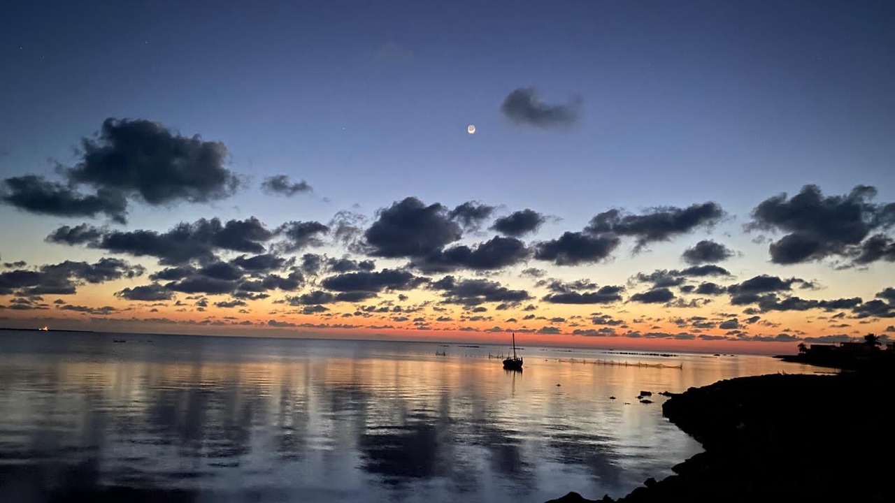 Photo of Others in Kerkennah Islands