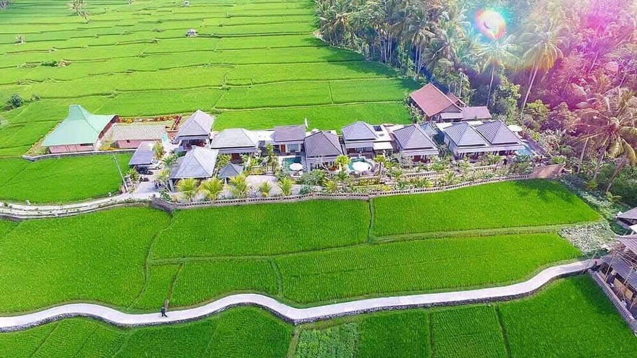 Photo of Outdoor in Petulu