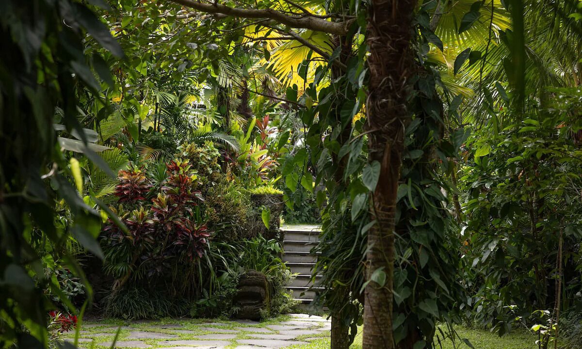 Photo of Outdoor in Melayang