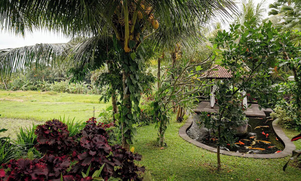 Photo of Outdoor in Melayang