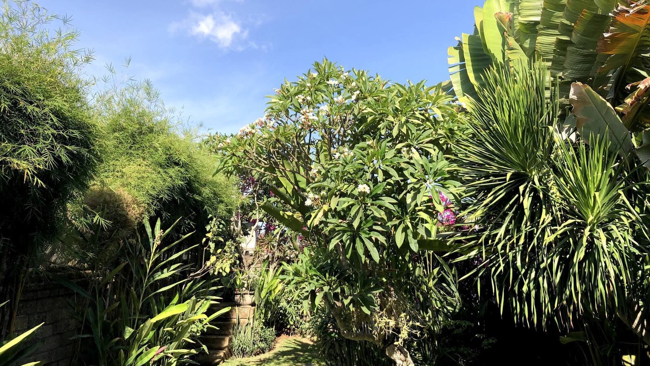 Photo of Outdoor in Kerobokan