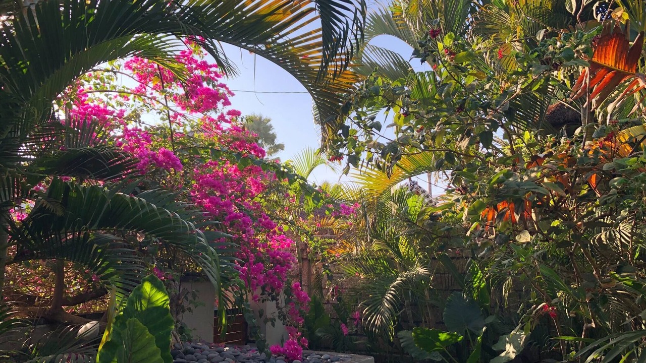 Photo of Outdoor in Kerobokan