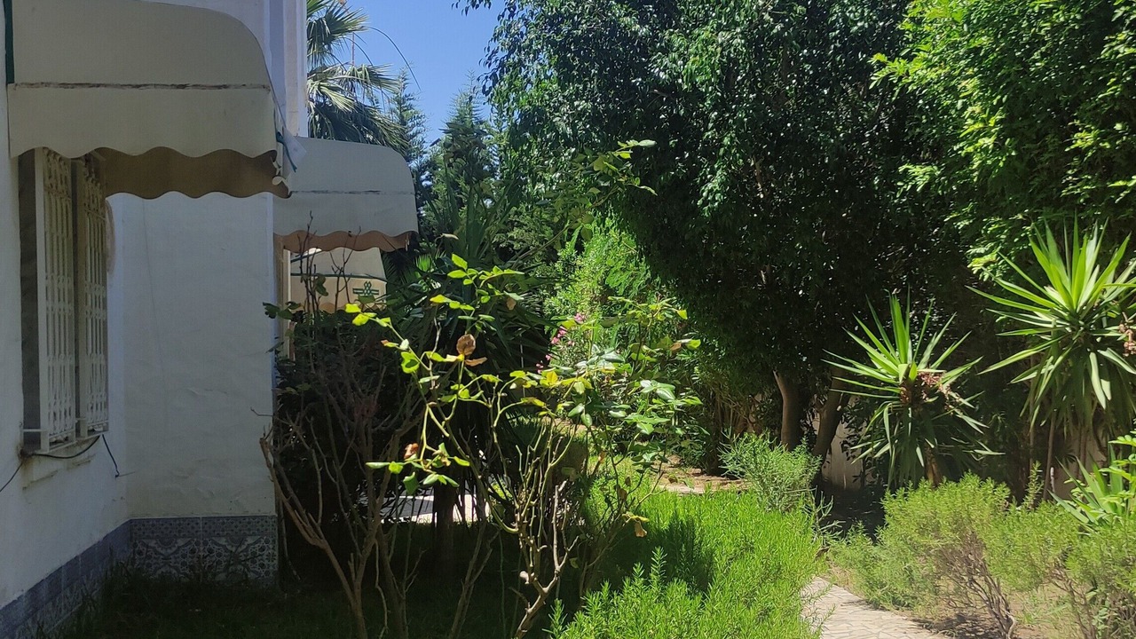 Photo of Outdoor in Yasmine