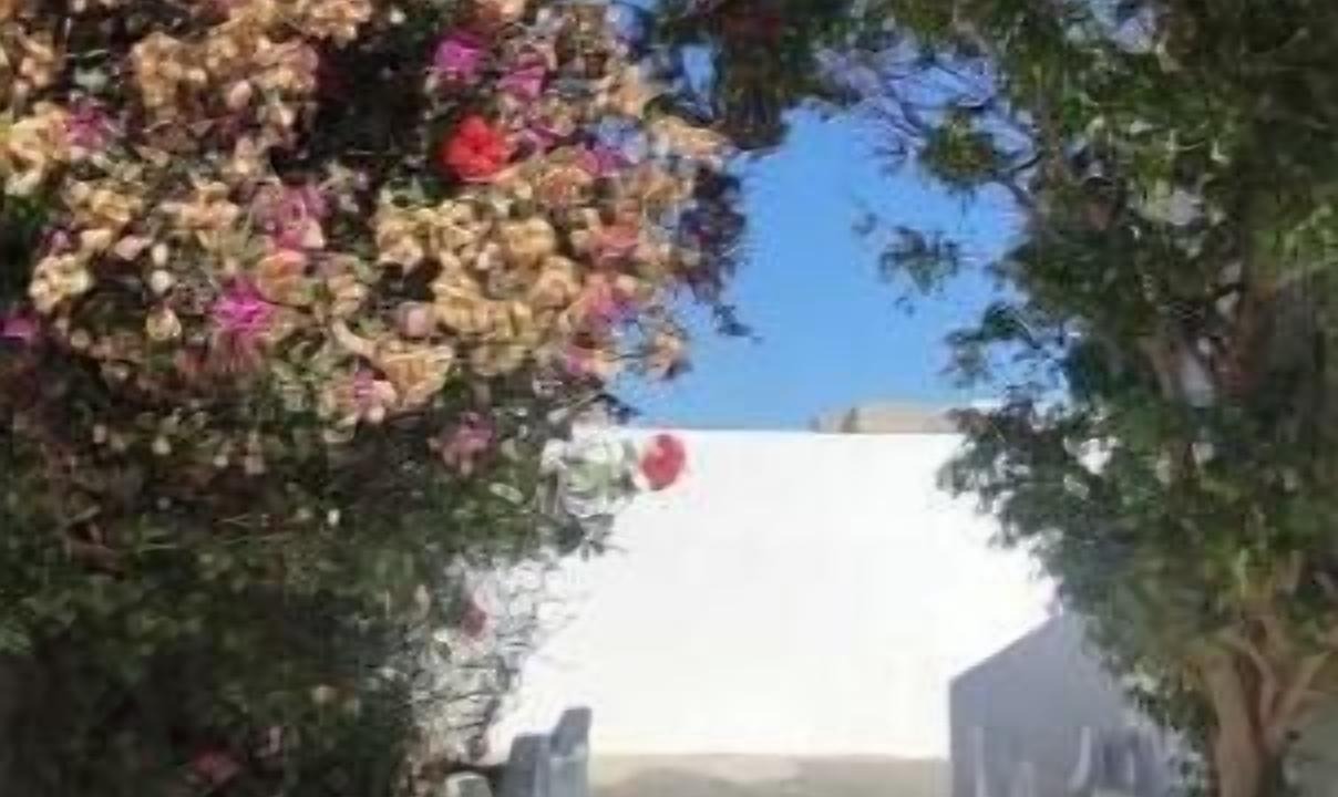 Photo of Outdoor in Eastern Hawaria