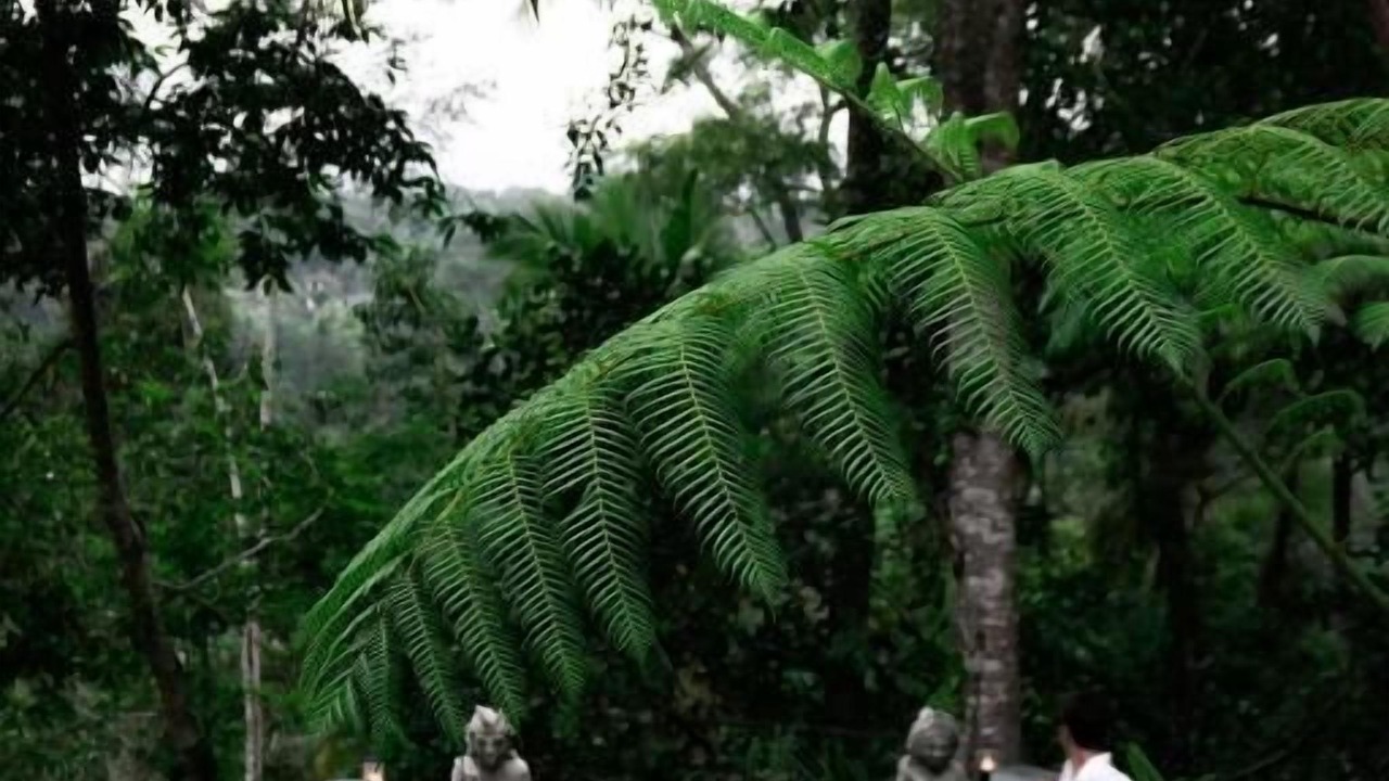 Photo of Outdoor in Payangan