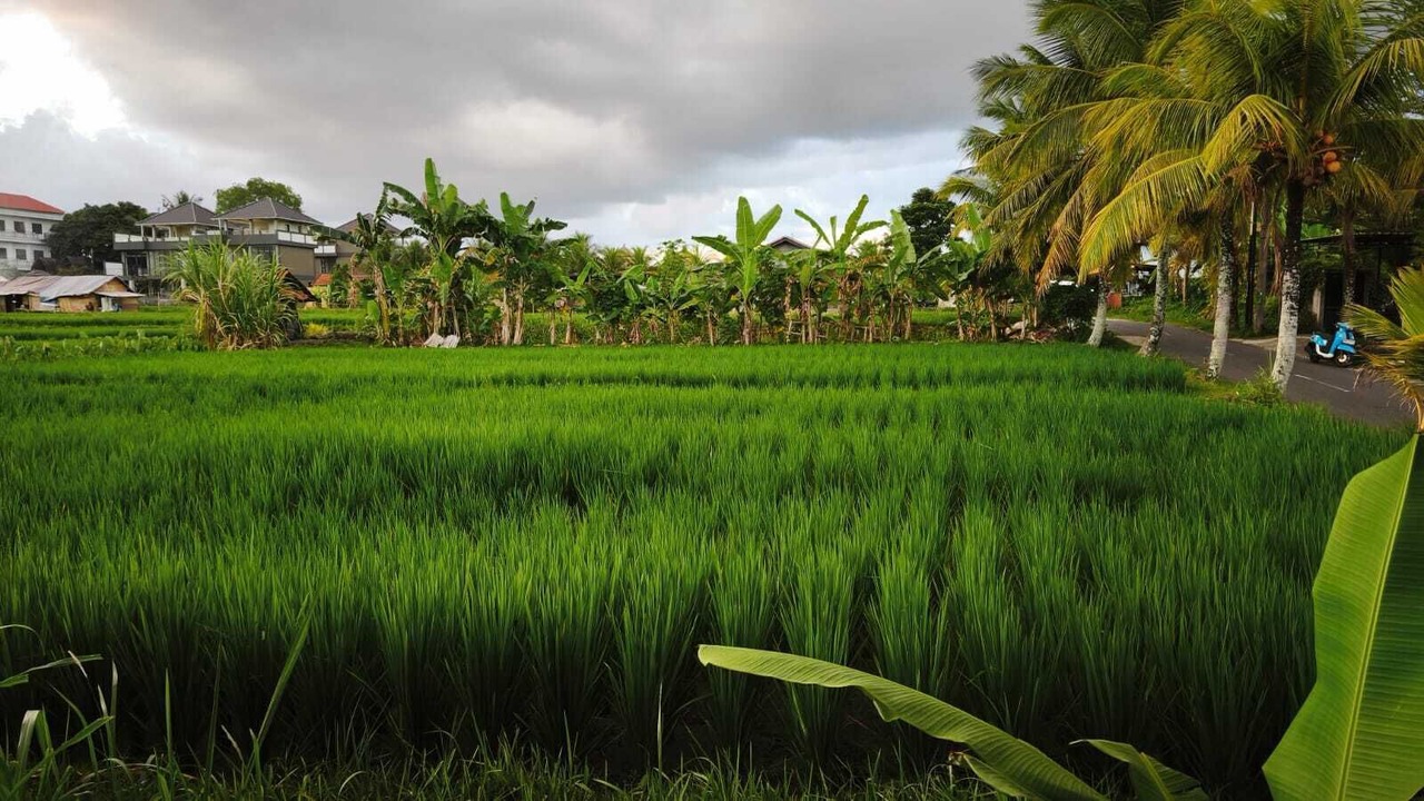 Photo of Outdoor in Mas