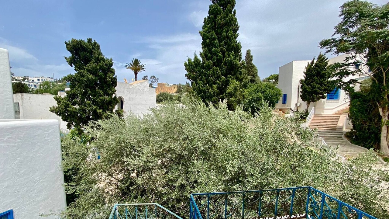 Photo of Outdoor in Sidi Bou Said