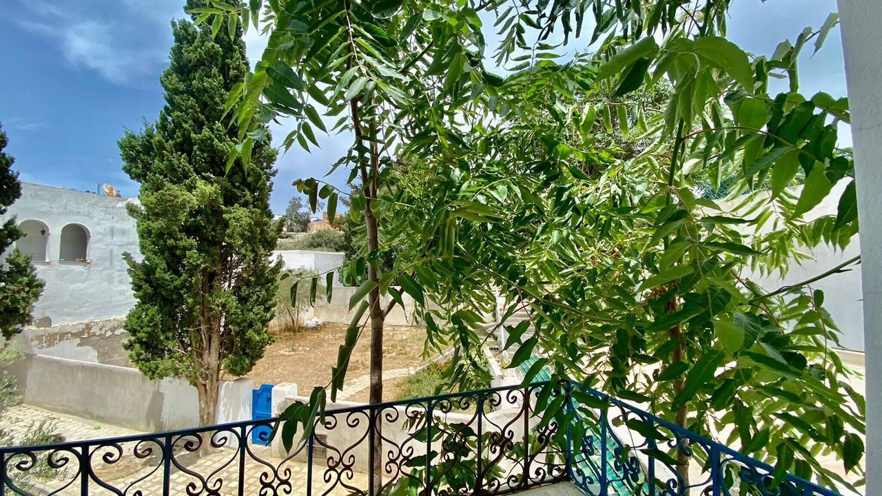 Photo of Outdoor in Sidi Bou Said