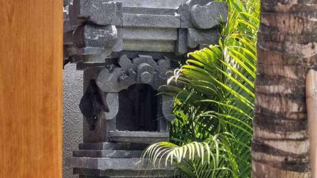 Photo of Outdoor in Batu Bolong