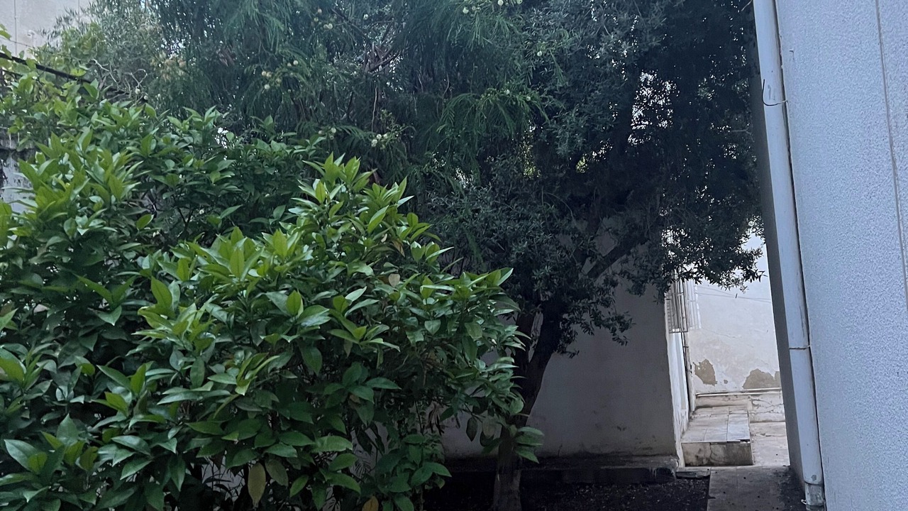 Photo of Outdoor in Ras Ettabia
