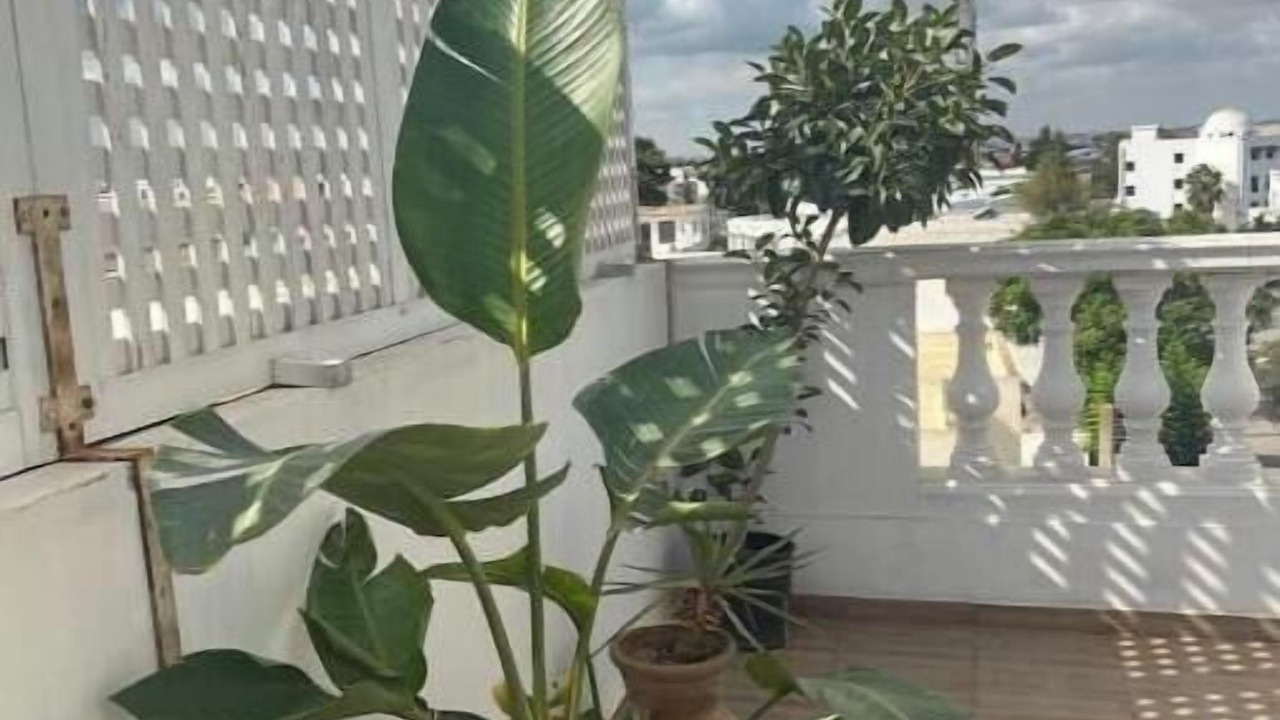 Photo of Outdoor in Sidi Dhrif