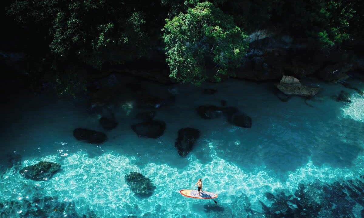Photo of Others in Mushroom Bay