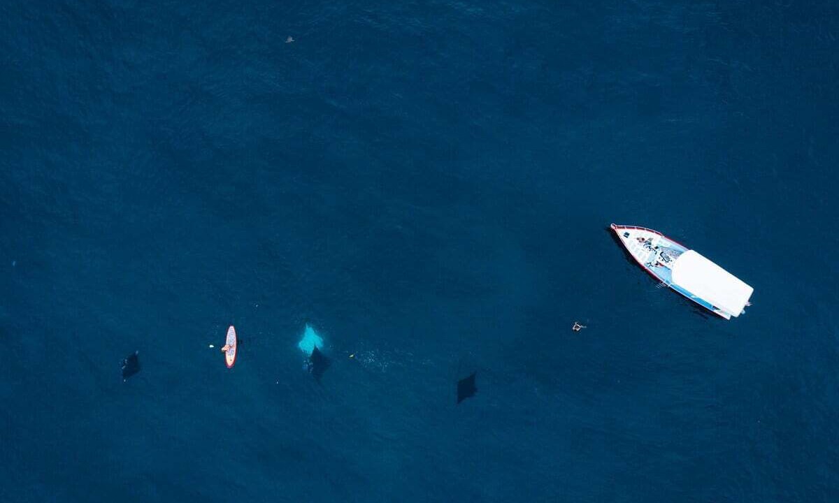 Photo of Others in Mushroom Bay